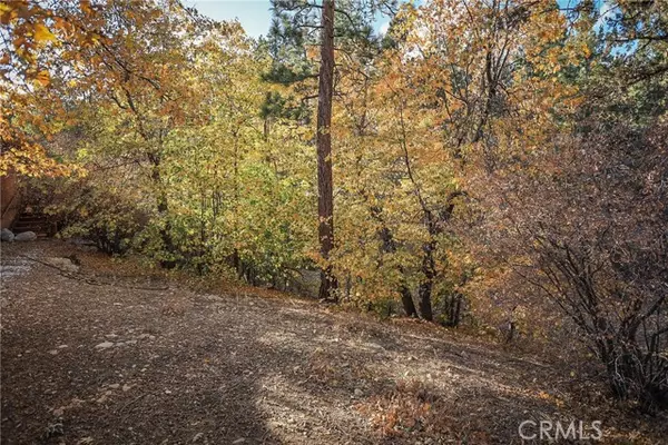 Sugarloaf, CA 92386,498 Pine LN