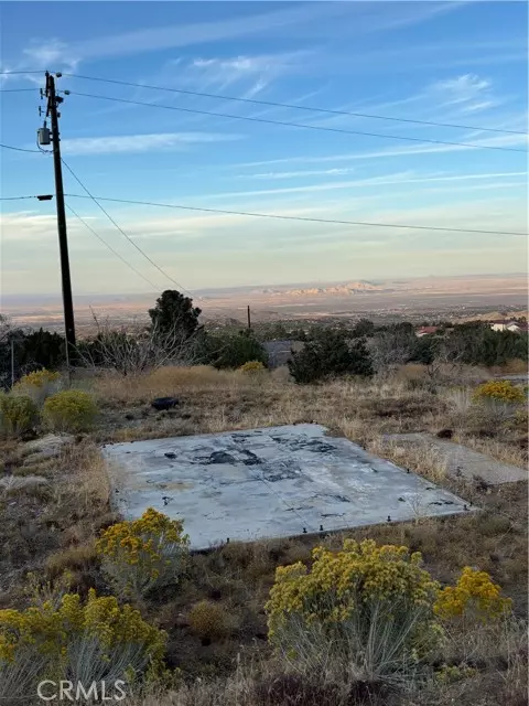 Littlerock, CA 93543,10510 Piute RD