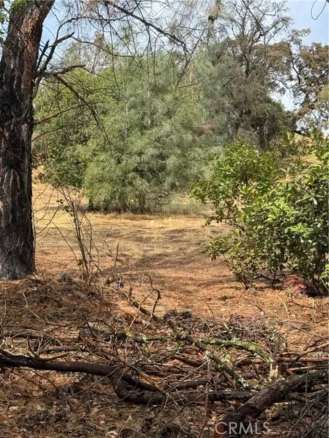 12508 Lakeview DR, Clearlake Oaks, CA 95423