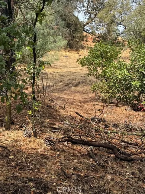 Clearlake Oaks, CA 95423,12508 Lakeview DR