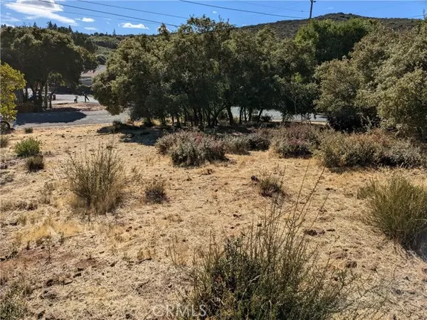 Kelseyville, CA 95451,9252 Takelma CT