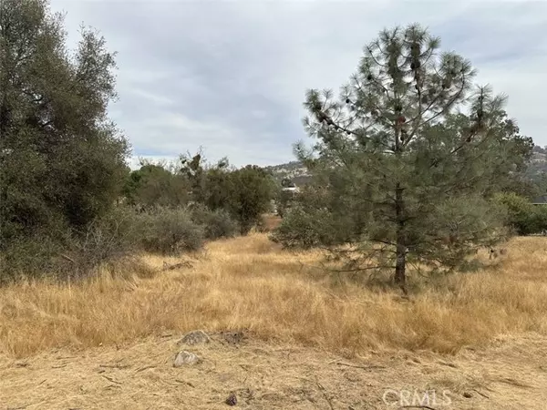 Coarsegold, CA 93614,0 Lot 880 Jim Bowie CT