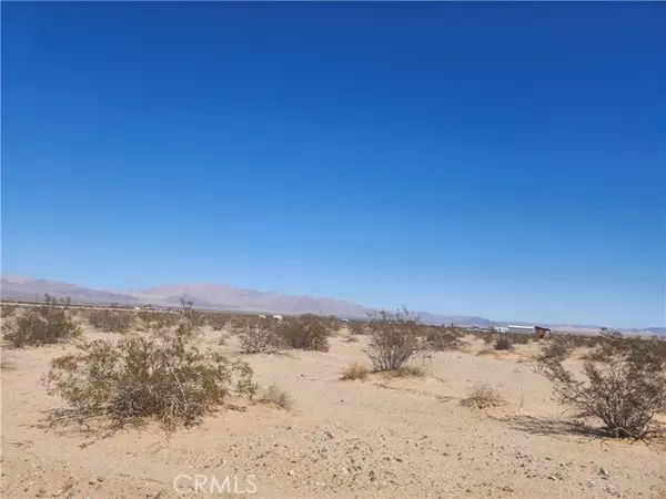 Twentynine Palms, CA 92277,0 Sandale