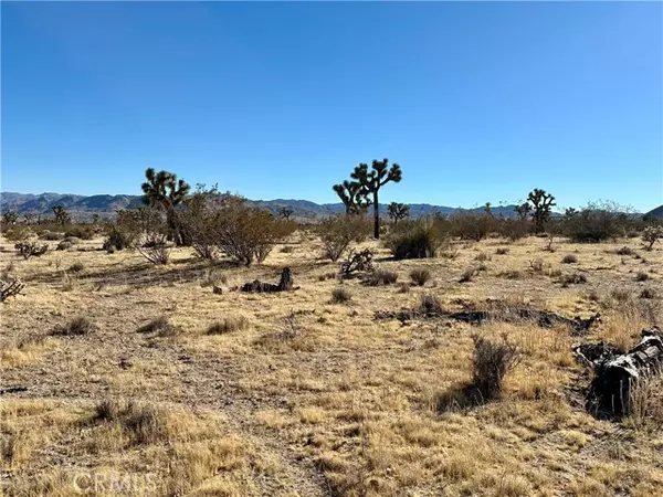 Yucca Valley, CA 92284,4726 Paradise View RD