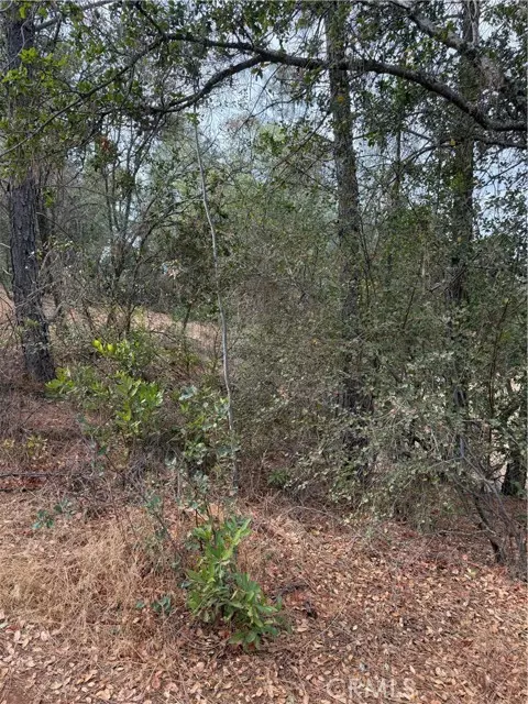 Clearlake, CA 95422,3475 Garfield AVE