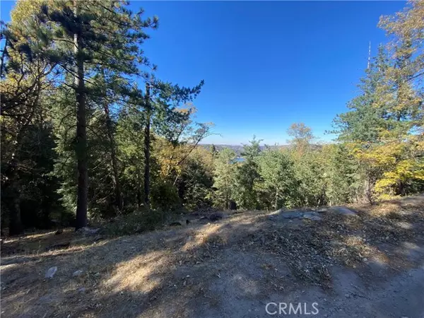 Crestline, CA 92325,24989 Highland DR