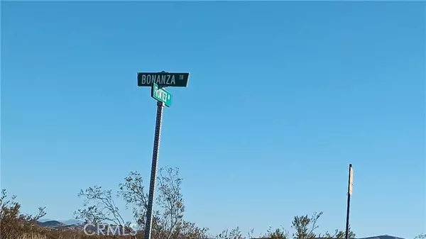 0 Bonanza TRL, Helendale, CA 92342