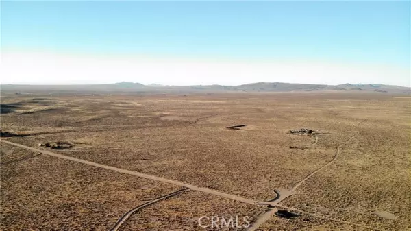 Hinkley, CA 92347,0 Burnt Tree