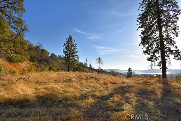 Berry Creek, CA 95966,0 Canyon Creek RD