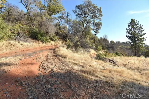 Berry Creek, CA 95966,0 Canyon Creek RD