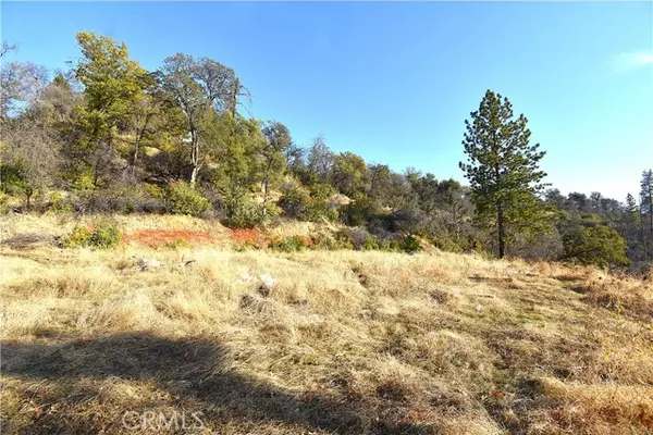 Berry Creek, CA 95966,0 Canyon Creek RD