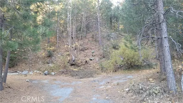 Crestline, CA 92325,0 Water DR