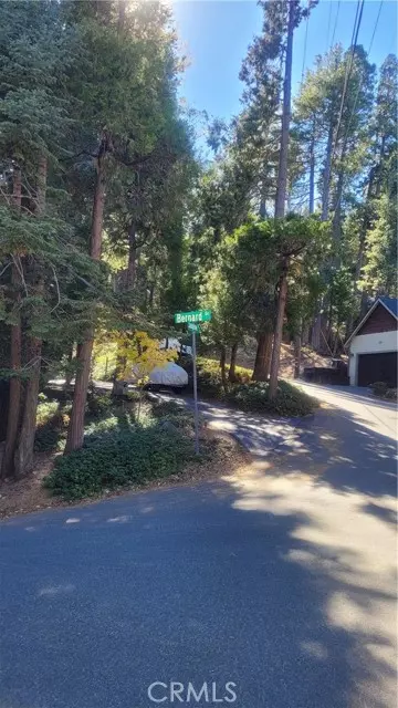 Crestline, CA 92325,0 Bernard DR