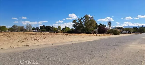 Lake Los Angeles, CA 93591,0 vacant land