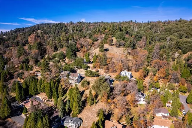 Crestline, CA 92325,0 Briarwood LN