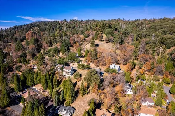 Crestline, CA 92325,0 Briarwood LN