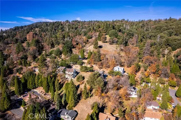 Crestline, CA 92325,0 Briarwood LN