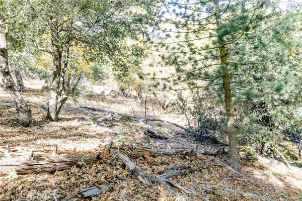 Cedarpines Park, CA 92322,0 Alder Creek RD