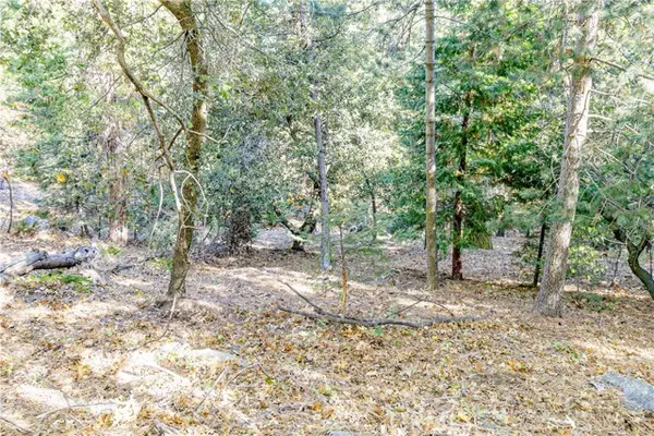 Cedarpines Park, CA 92322,0 Alder Creek RD