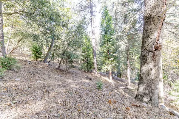 Cedarpines Park, CA 92322,0 Alder Creek RD