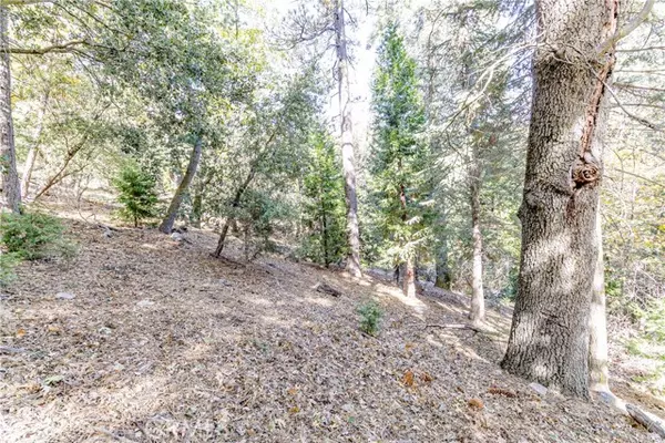 Cedarpines Park, CA 92322,0 Alder Creek RD