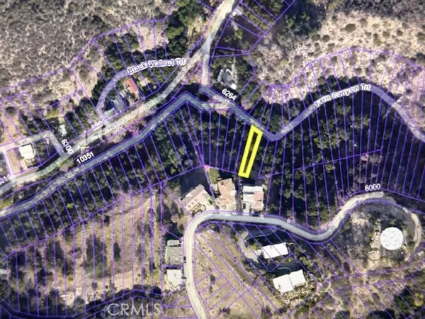 Tujunga, CA 91042,0 Fern Canyon TRL