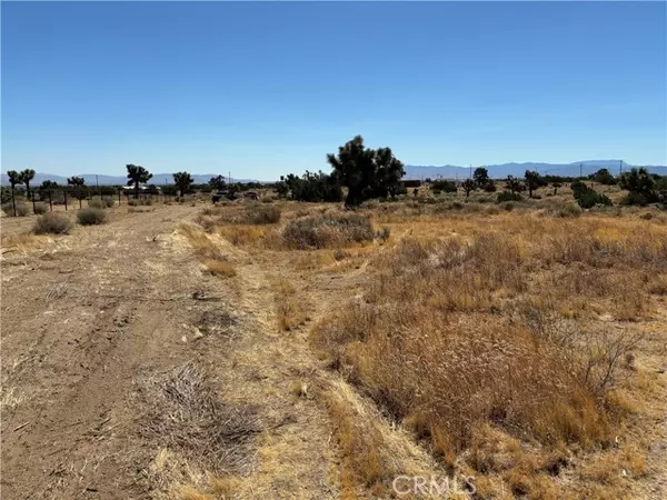 Phelan, CA 92371,0 Vinton RD