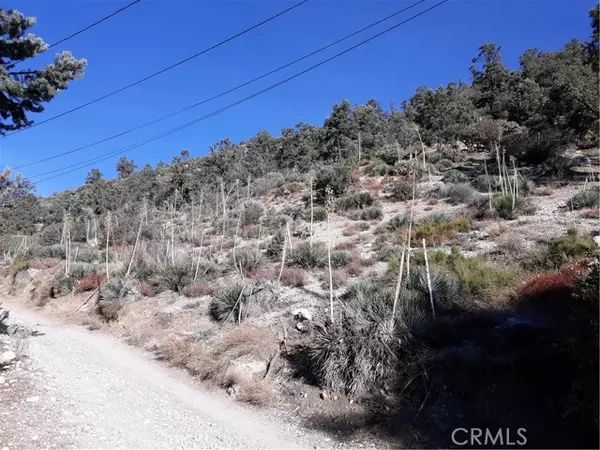 Frazier Park, CA 93225,0 North End DR