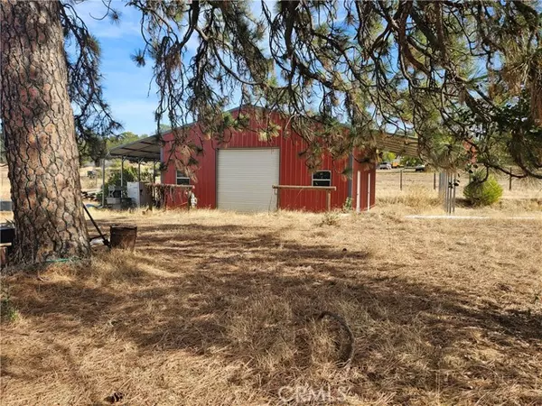 Oroville, CA 95966,0 Mission Olive