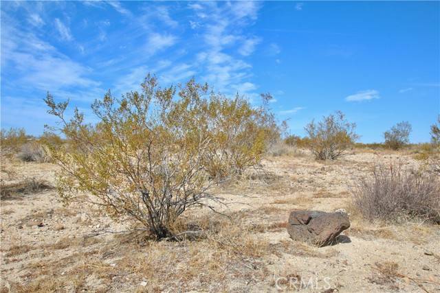 Joshua Tree, CA 92252,0 Moonlight Mesa AVE