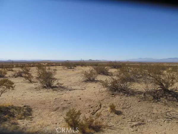 California City, CA 93505,4 BROWN