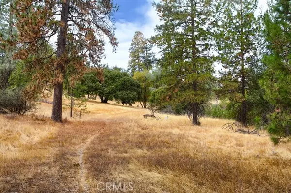 Mariposa, CA 95338,4959 Sierra Pines DR