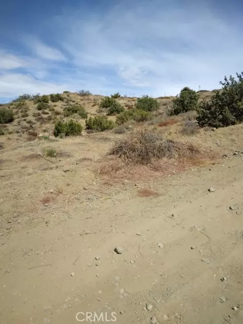 0 Quirk RD, Acton, CA 93510