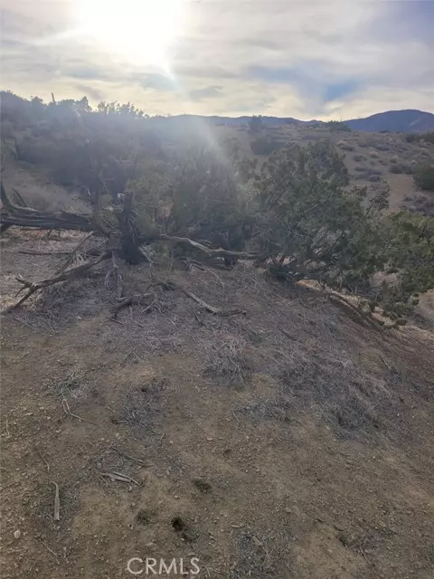 Palmdale, CA 93550,0 Vac/Ca Aqueduct/Pearblossom