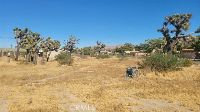 0 Tamarisk AVE, Yucca Valley, CA 92284