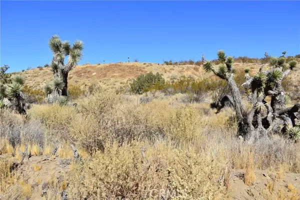 Palmdale, CA 93550,8100 Vac/Vic 81st Ste/Webber Ranch Rd