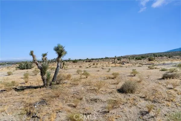 Llano, CA 93544,0 E Avenue Y-4