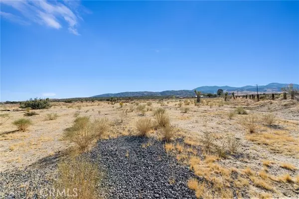 Llano, CA 93544,0 E Avenue Y-4