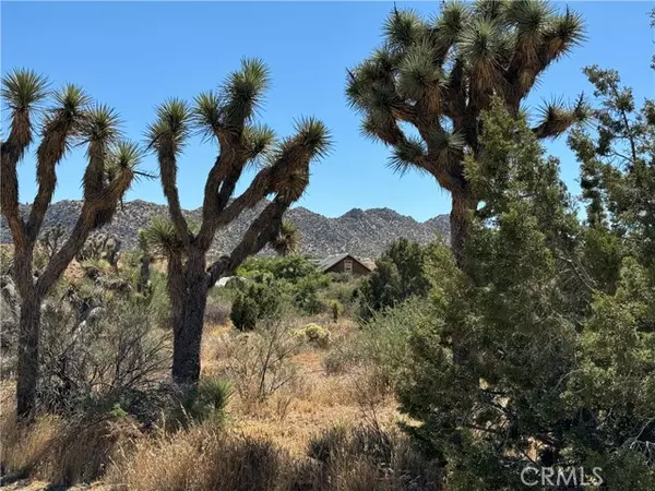 Pioneertown, CA 92268,53408 Stud Valley RD