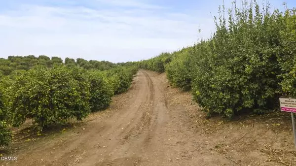 Somis, CA 93066,0 Donlon RD