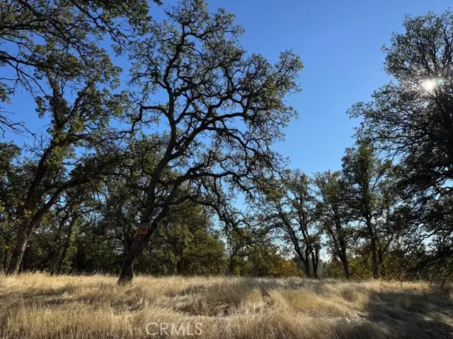 Corning, CA 96021,17333 Wagon Wheel RD