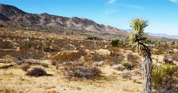 Joshua Tree, CA 92252,8675 Tortuga TRL