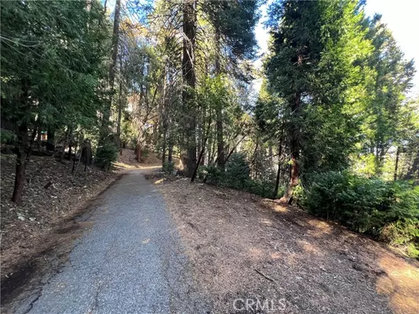 Crestline, CA 92325,24355 Albrun DR