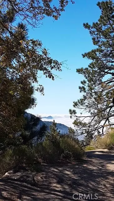 Cedarpines Park, CA 92322,7 Burnt Mill Rd