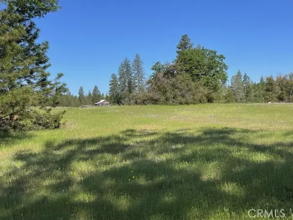 Mariposa, CA 95338,2964 Triangle RD