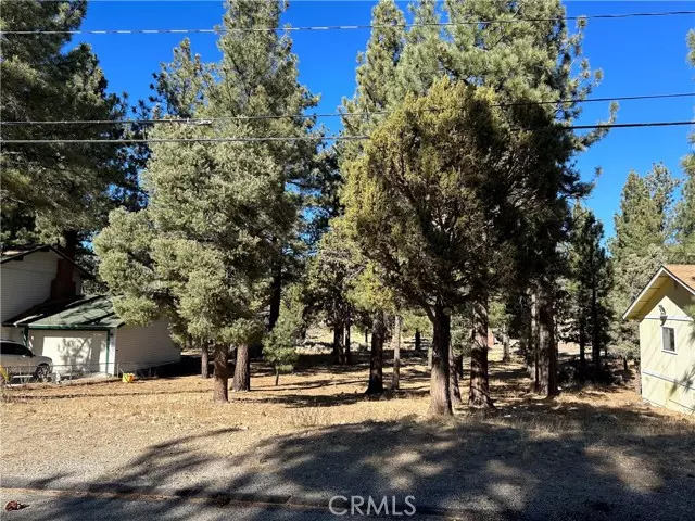 46997 Sky View DR, Big Bear City, CA 92314