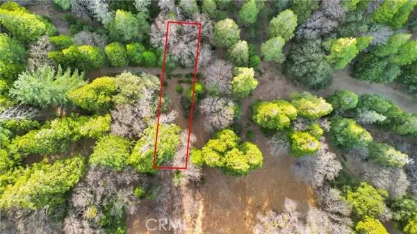 0 Mojave River RD, Cedarpines Park, CA 92322