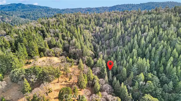 Cedarpines Park, CA 92322,0 Mojave River RD