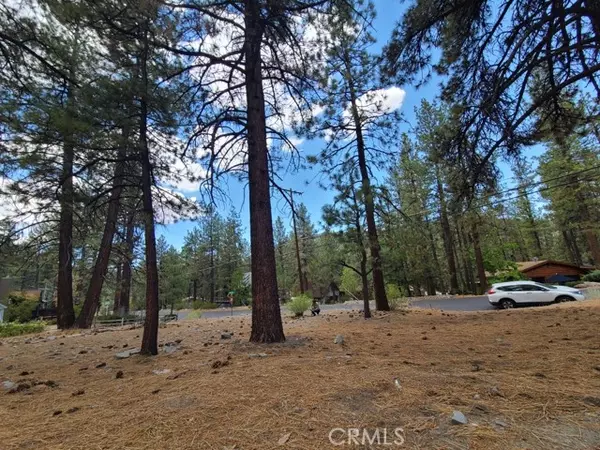 Wrightwood, CA 92397,0 Lodgepole DR