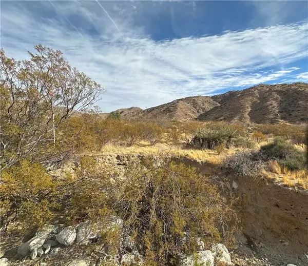 Morongo Valley, CA 92256,12345 29 Palms HWY